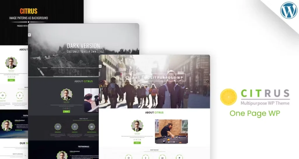 Citrus – One Page WordPress Theme