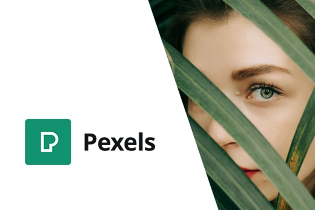 Pexels – Import High-Quality Images into WordPress