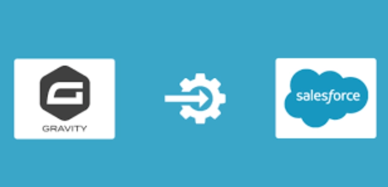 WP Gravity Forms Salesforce Pro