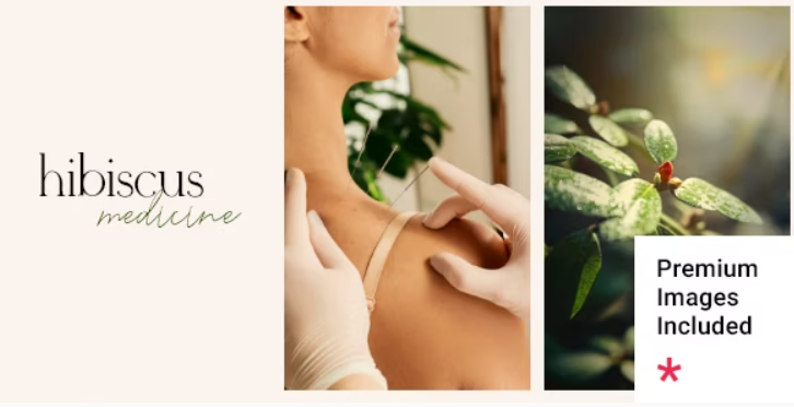 Hibiscus – Alternative Medicine and Organic Shop Theme