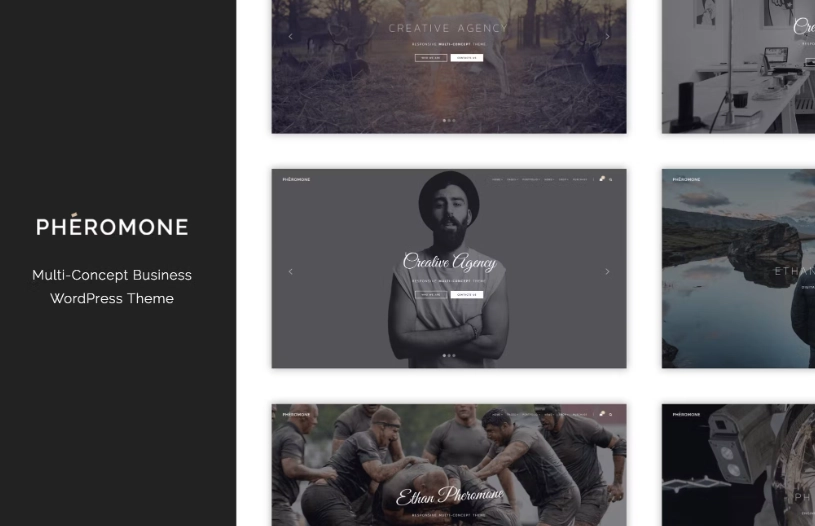 Pheromone – Creative Multi-Concept WordPress Theme