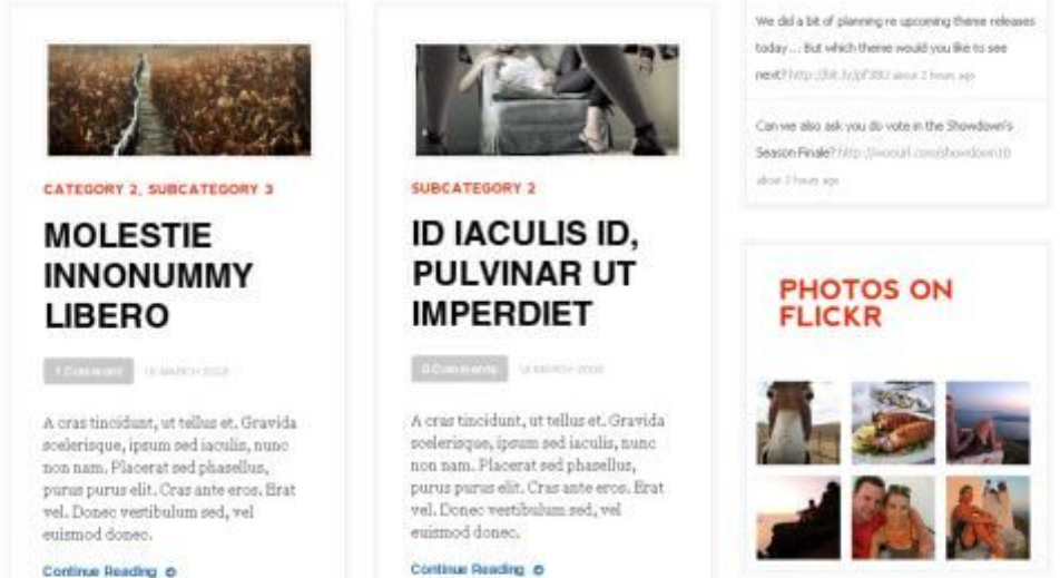 WooThemes Daily Edition Premium Theme