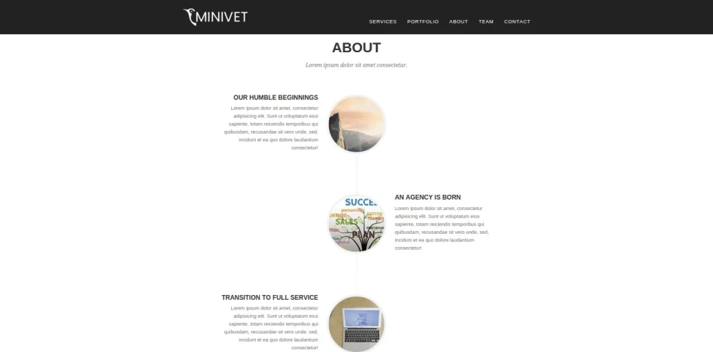 CyberChimps Minivet WordPress Theme