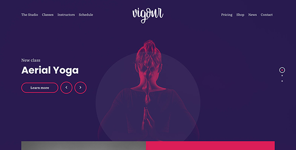 Vigour WordPress Theme