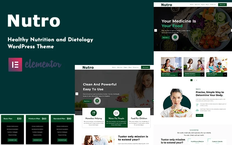 Nutro – Nutrition Health Services WordPress Theme