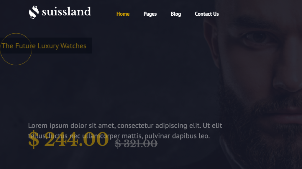 Suissland – Watch Shop Elementor Template