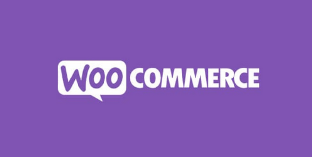 XML for Google Merchant Center by WpDesk
