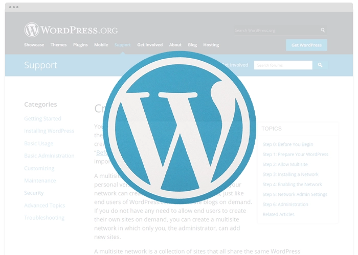 [MISC V10] – WordPress Network Theme Update