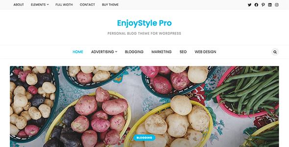 EnjoyStyle Pro Theme