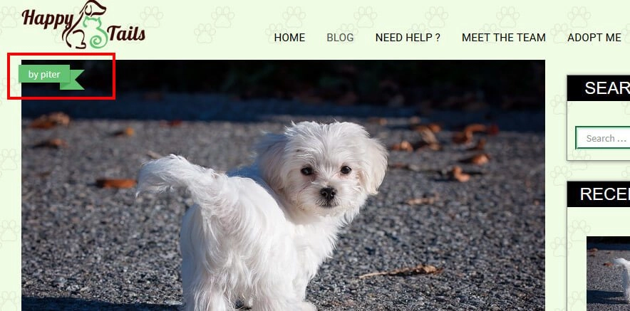 CyberChimps HappyTails WordPress Theme