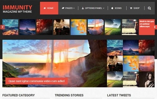 Immunity – WordPress Theme
