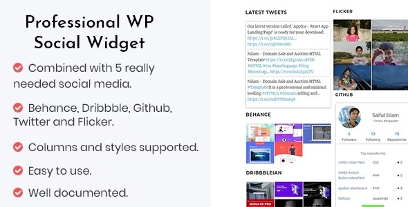 Professional – WP social widget