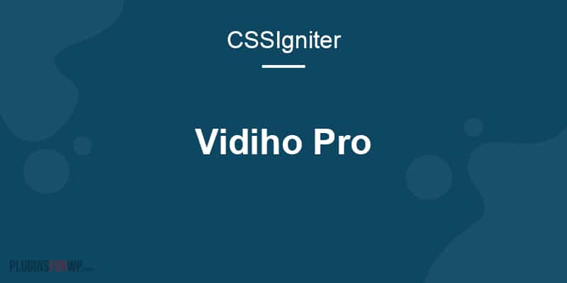 CSS Igniter Vidiho Pro Theme