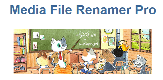 Media File Renamer (Pro)