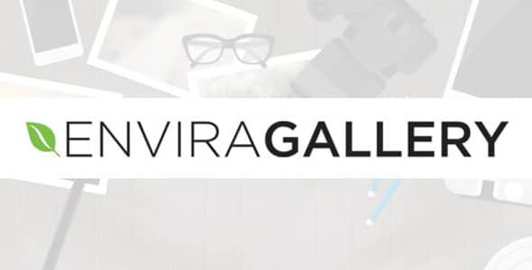 Envira Gallery Downloads Addon