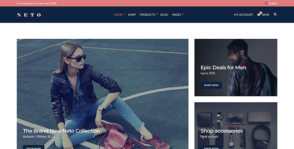 Neto WordPress Theme