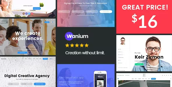 Wanium Elegant Multi-Concept Theme