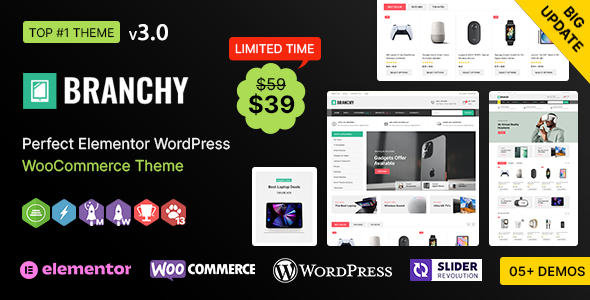 Branchy WP – Elementor Multi-purpose WooCommerce Responsive Theme