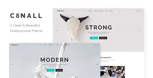 Conall – Clean Multipurpose Theme