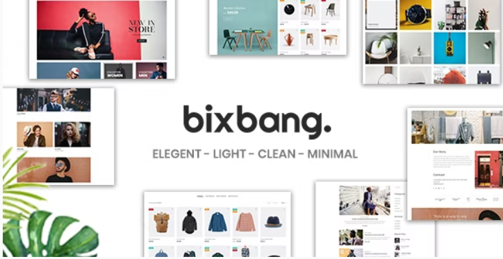 Bixbang – Minimalist eCommerce WordPress Theme for WooCommerce