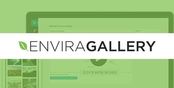 Envira Gallery – Pinterest Addon