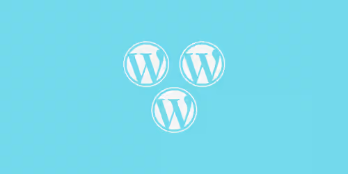 BNFW – Multisite Add-on