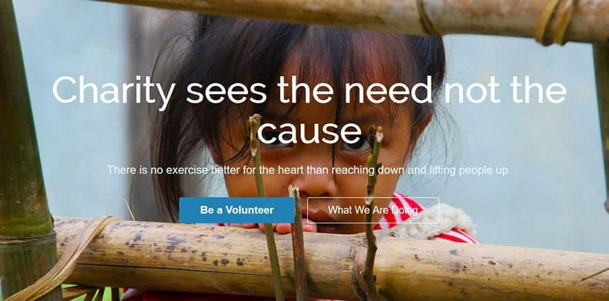 CyberChimps CharityPure WordPress Theme