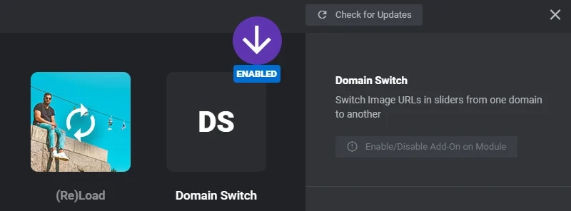 Slider Revolution Domain Switch Add-on