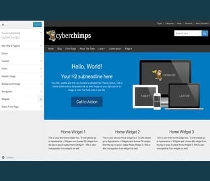 CyberChimps Pro Features