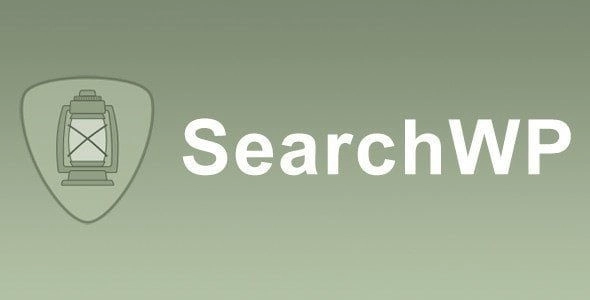 SearchWP Term Synonyms
