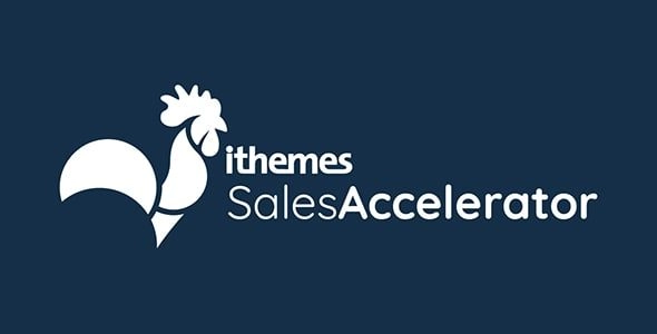 iThemes Sales Accelerator Reporting Pro