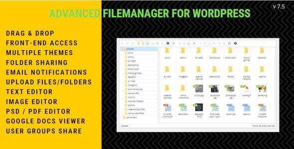 Advanced File Manager