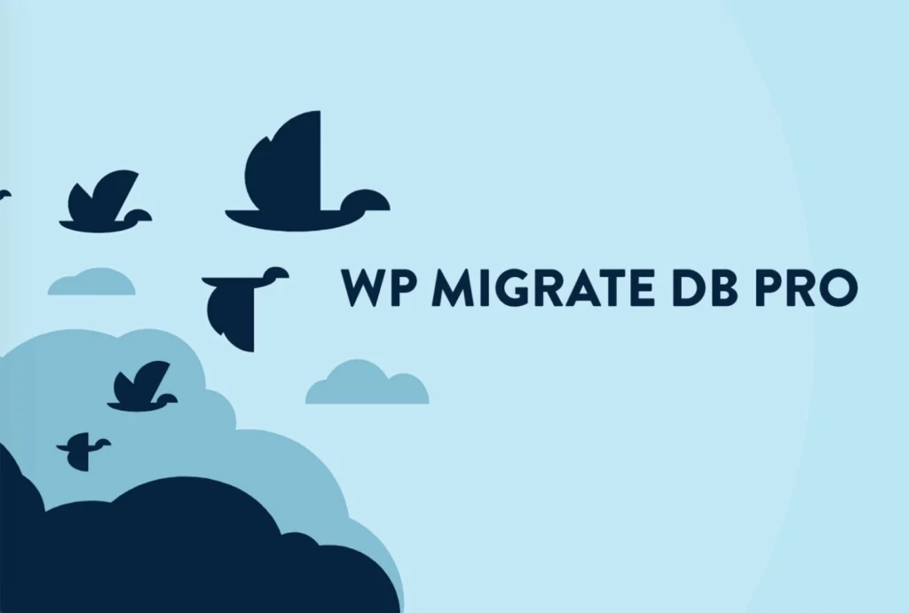 WP Migrate DB Pro Theme & Plugin Files